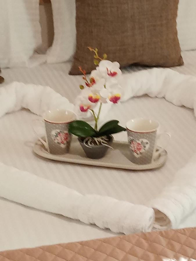 Roses 2 Apartment สกาลาโซติรอส ภายนอก รูปภาพ