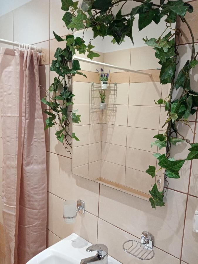 Roses 2 Apartment สกาลาโซติรอส ภายนอก รูปภาพ