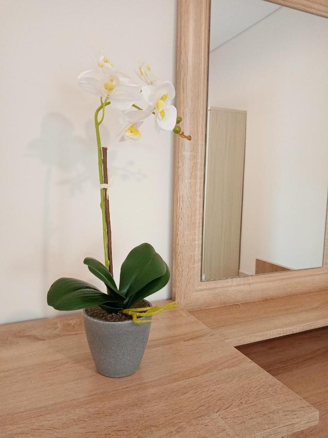 Roses 2 Apartment สกาลาโซติรอส ภายนอก รูปภาพ